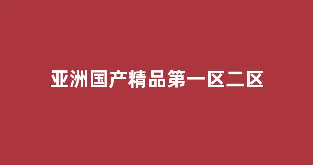 国产一区二区精品
